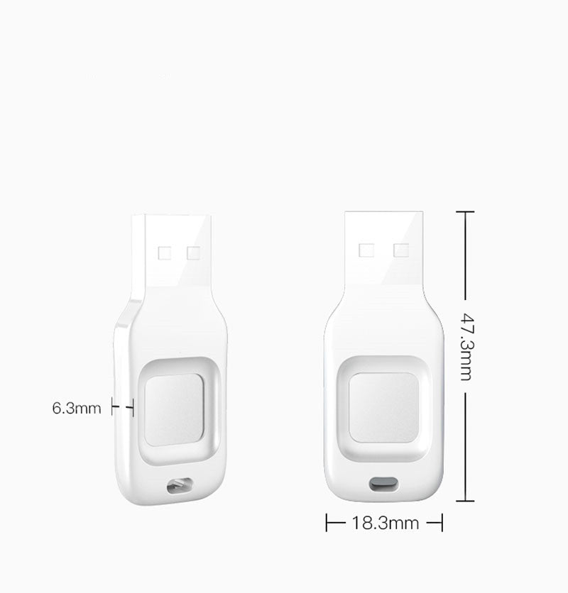 U Fingerprint Input Into Encrypted Disk
