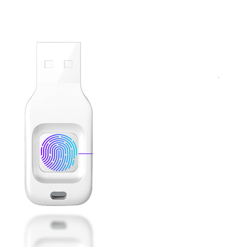 U Fingerprint Input Into Encrypted Disk