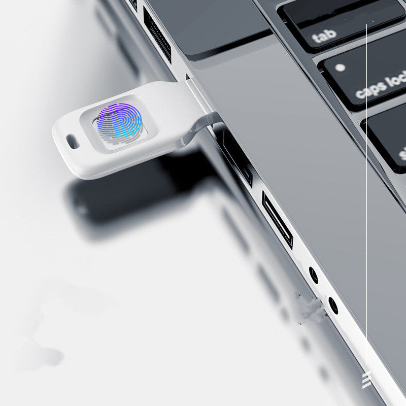 U Fingerprint Input Into Encrypted Disk