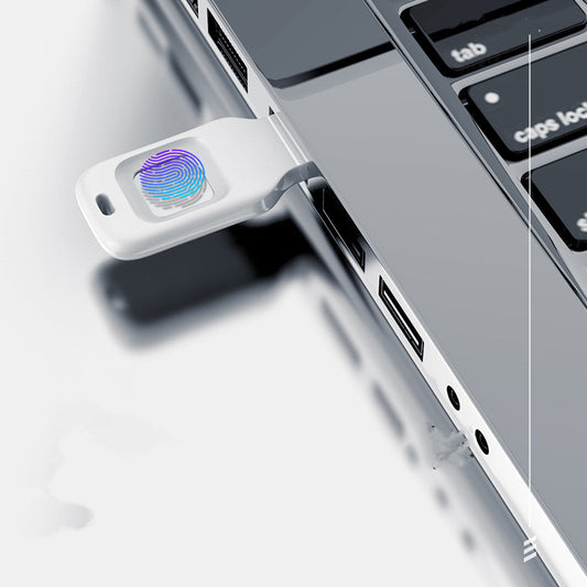 U Fingerprint Input Into Encrypted Disk