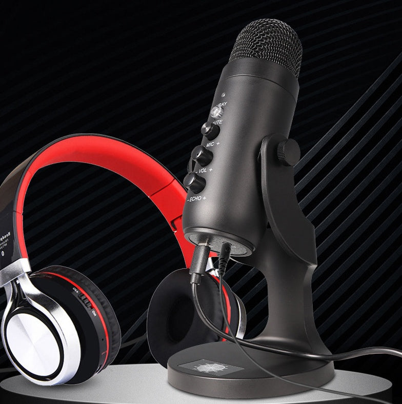 USB Live Karaoke Condenser Devcie