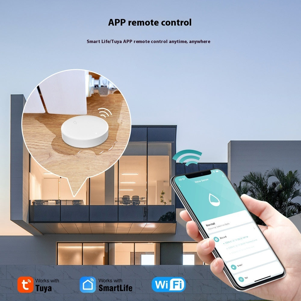 Wireless Water Immersion Intelligent Sensor